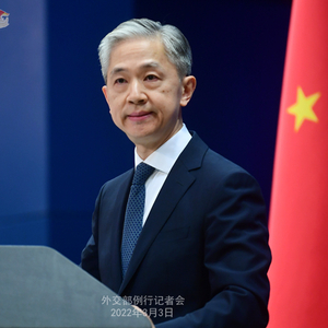 联合国安理会第984号决议_联合国安理会决议的效力_联合国安理会决议规则