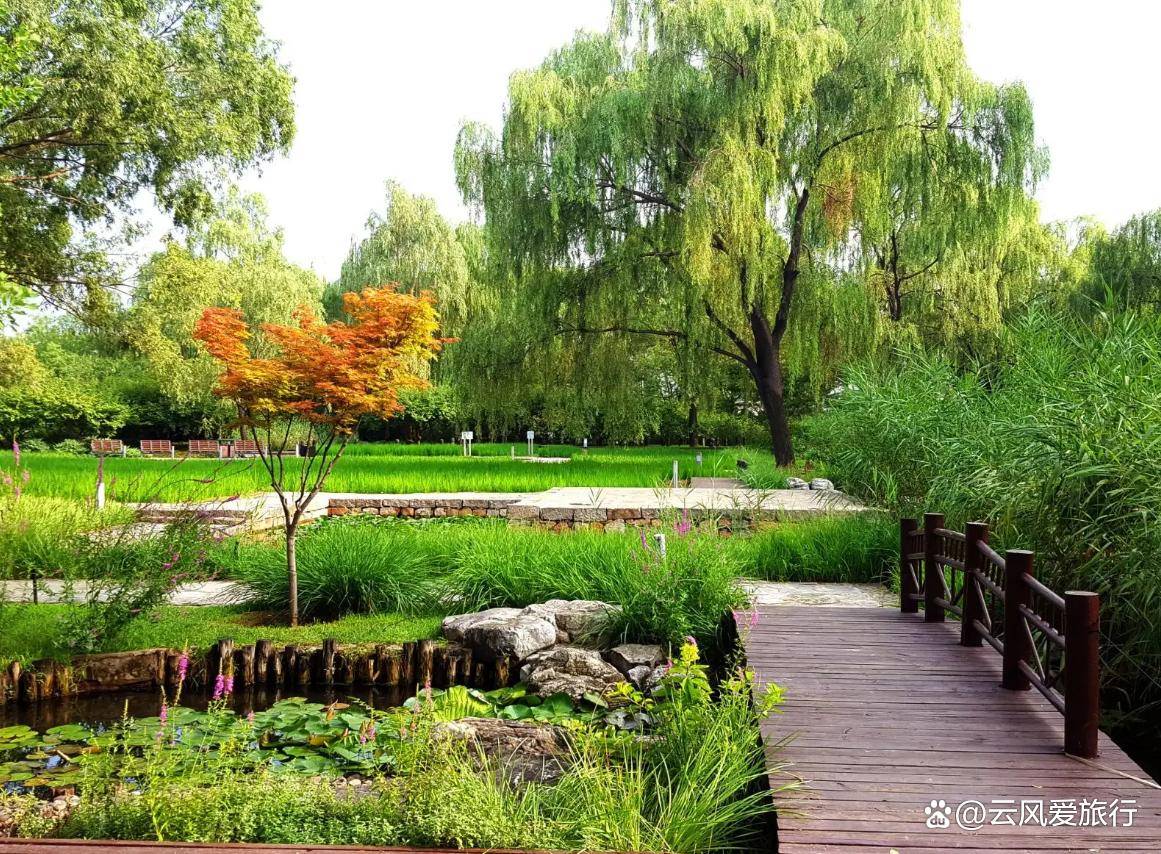 北京最大的湿地公园_北京市区湿地公园_北京湿地公园门票多少钱