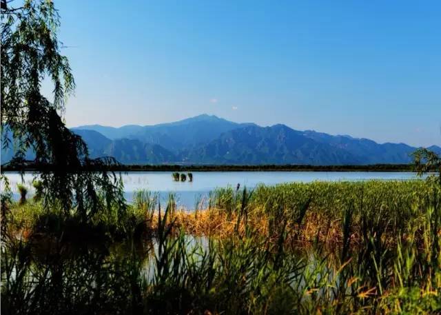 北京最大的湿地公园_北京湿地公园哪个好玩_北京市区湿地公园