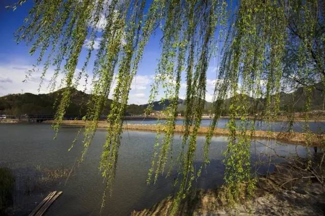 北京市区湿地公园_北京最大的湿地公园_北京湿地公园哪个好玩