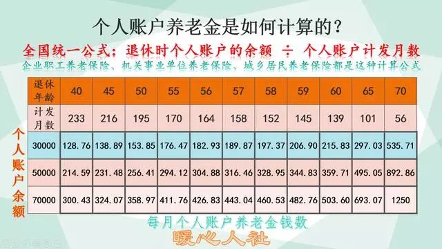 养老缴纳保险个人怎么交_养老缴纳保险个人承担多少_个人缴纳养老保险