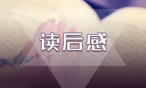 白狼读后感5篇600字